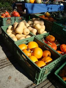 Courges à l'honneur