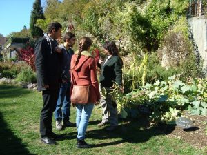 Visite guidée